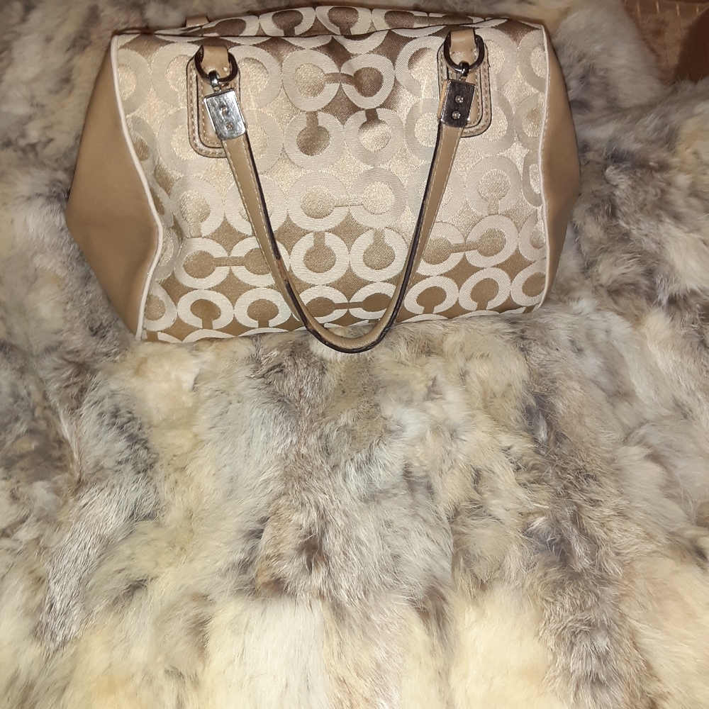 Coach mini bag